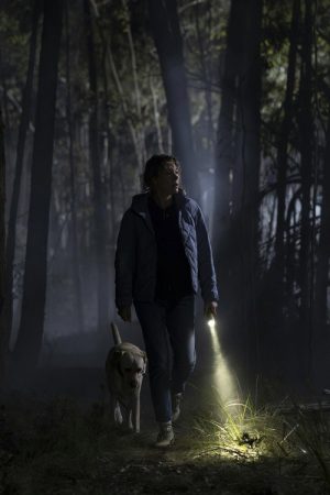 Wilderness (2026) poster
