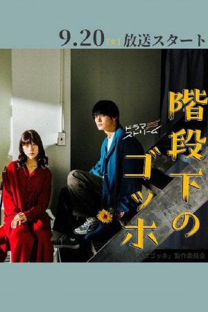 The Van Gogh Downstairs (2022) poster