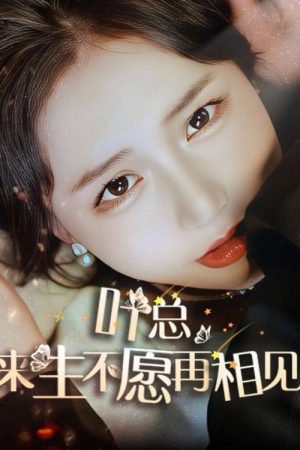 叶总，来生不愿再相见 (2025) poster