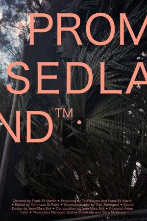 Promisedland™ (2024) poster