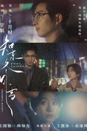 知京冬风雪 (2026) poster