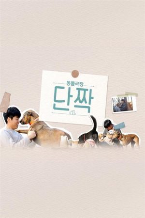 동물극장 단짝 (2022) poster