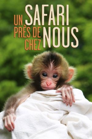 Un safari près de chez nous (2019) poster