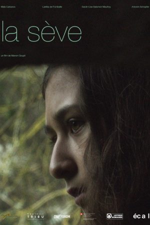 The Sap (2016) poster