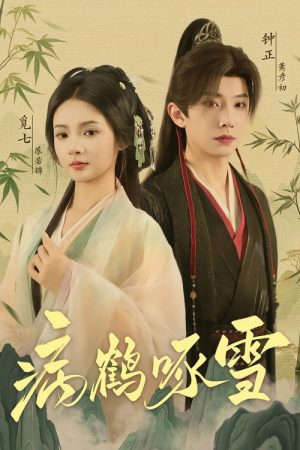 病鹤啄雪 (2025) poster