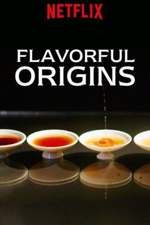 Flavorful Origins (2019) poster