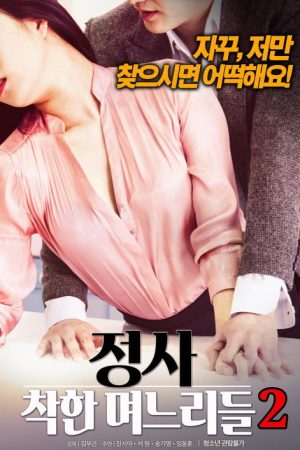 An Affair: Kind Daughters-in-law 2 (2018) poster