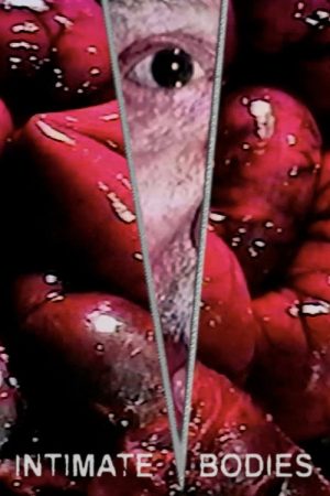 Intimate Bodies (2026) poster