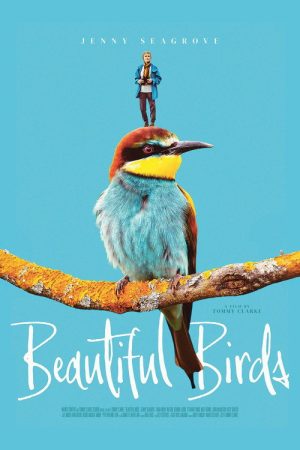 Beautiful Birds (2026) poster