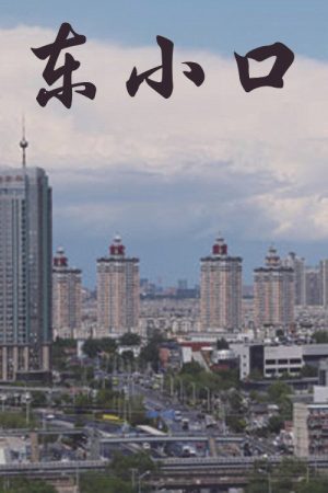 东小口 (2020) poster