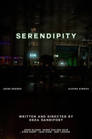 Serendipity (2024) poster
