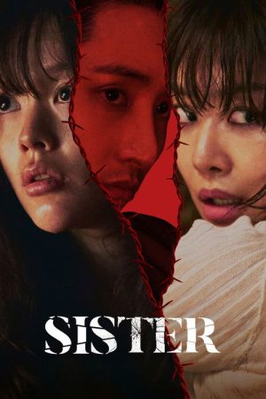 Sister (2026) — Cast, Story & Where to Watch | MovieLinkBD poster