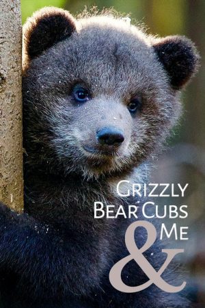 Grizzly Bear Cubs and Me (2018) poster
