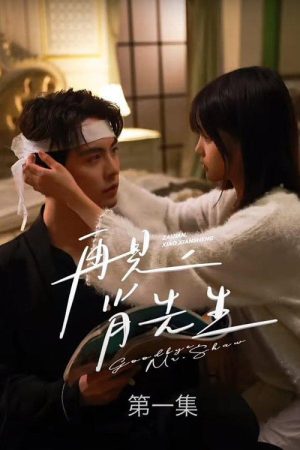 再见了，肖先生 (2023) poster