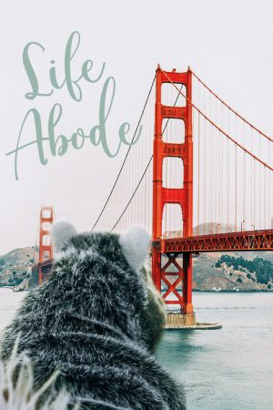 Life Abode (2021) poster