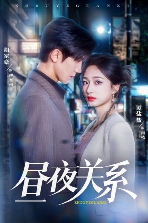Day and Night Relationship (2025) poster