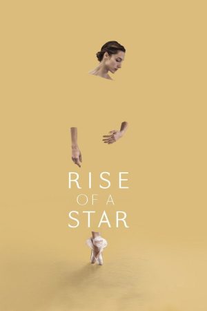 Rise of a Star (2017) poster