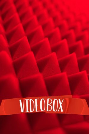 Videobox (2022) poster