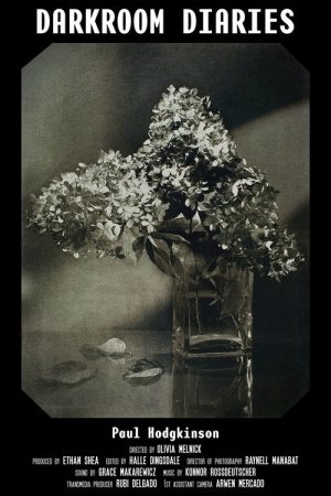 Darkroom Diaries (2024) poster