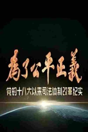 为了公平正义 (2017) poster