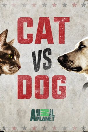 Cat vs. Dog (2017) poster