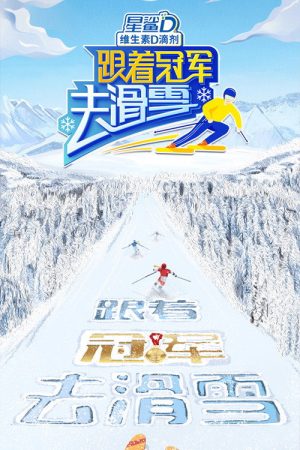 Go Skiing with Champions (2022) poster