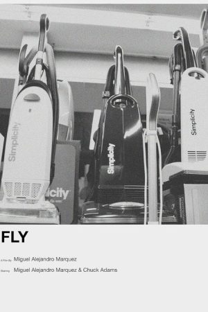 Fly (2021) poster