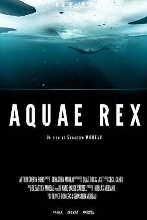 Aquae Rex (2018) poster