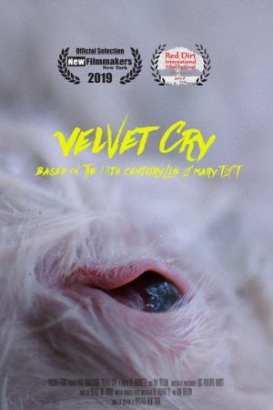 VELVET CRY (2019) poster