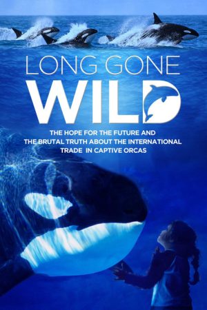 Long Gone Wild (2019) poster