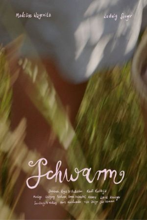 Schwarm (2026) poster