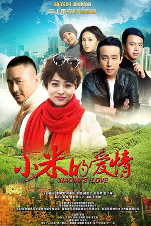 小米的爱情 (2016) poster