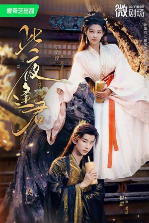 此夜逢君 (2025) poster
