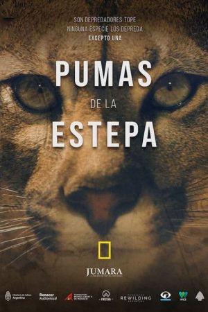 Pumas de la estepa (2023) poster
