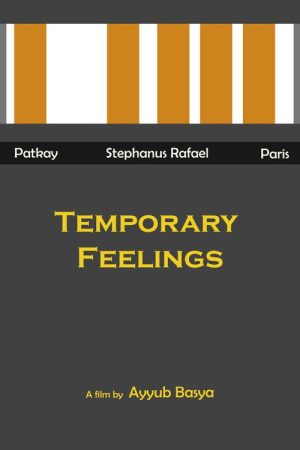 Temporary Feelings (2022) poster