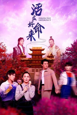 Perfectly Imperfect (2025) poster