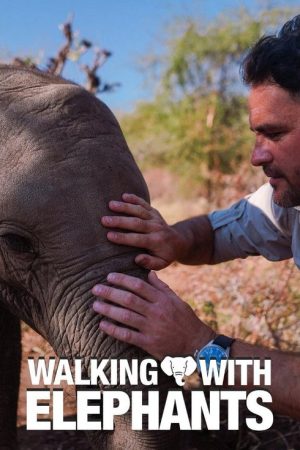 Walking With Elephants (2020) poster