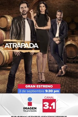 Atrapada (2018) poster