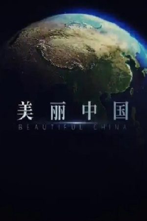 美丽中国 (2019) poster