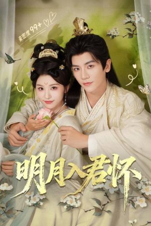 明月入君怀 (2026) poster