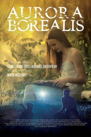 Aurora Borealis: Northern Light (2017) poster