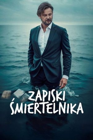 Memories of Insignificance (2026) poster