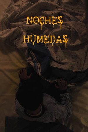 Wet Nights (2023) poster
