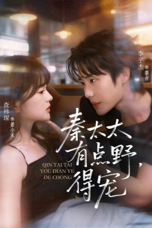Doting Feisty Mrs. Qin (2026) poster