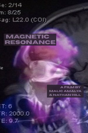 Magnetic Resonance (2016) poster