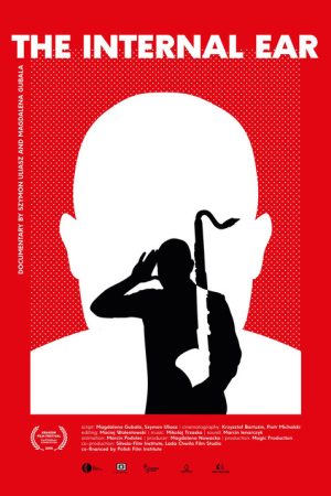 The Internal Ear (2016) poster