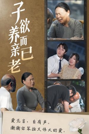 子欲养而亲已老 (2025) poster