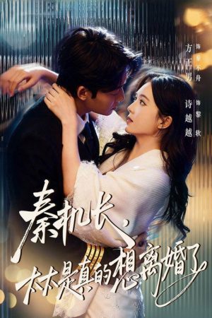 秦机长，太太是真的想离婚了 (2026) poster