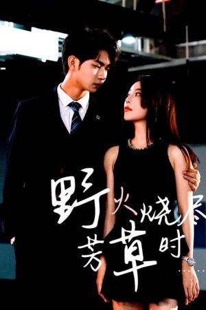 野火烧尽芳草时 (2025) poster