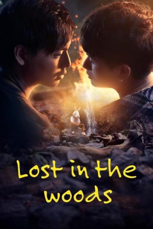 Lost in the Woods (2025) poster